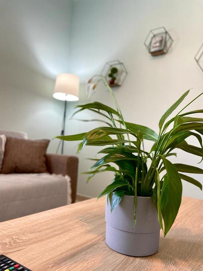 The Breeze & Sunlight Apartment 브래스나 외부 사진